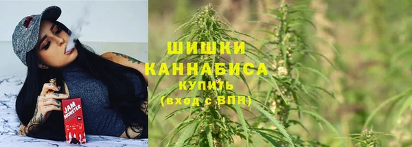 ПСИЛОЦИБИНОВЫЕ ГРИБЫ Арсеньев