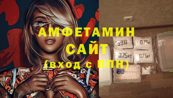 ПСИЛОЦИБИНОВЫЕ ГРИБЫ Арсеньев