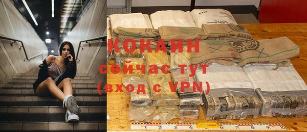 ПСИЛОЦИБИНОВЫЕ ГРИБЫ Арсеньев