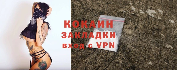 ПСИЛОЦИБИНОВЫЕ ГРИБЫ Арсеньев