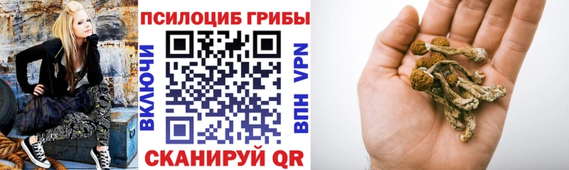 Псилоцибиновые грибы Cubensis  Пошехонье 